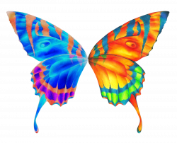 Wing clipart colorful, Wing colorful Transparent FREE for ...