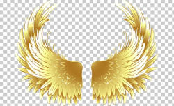 Buffalo wing Fried chicken, Games golden wings, gold-colored ...