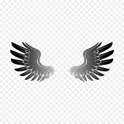 Eagle Cartoon clipart - Wing, Eagle, Font, transparent clip art