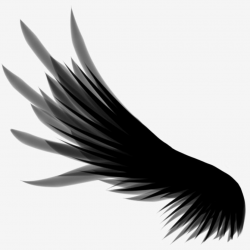 Black Dream Wings in 2019 | Wings drawing, Angel wings png ...