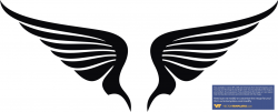 Wings | Free Images at Clker.com - vector clip art online ...