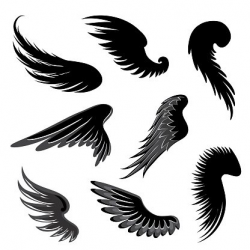Wings Silhouette Vector Set. Clipart Image | +1,566,198 clip ...