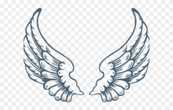 Download for free 10 PNG Wings clipart transparent ...
