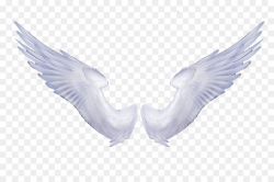 Angel wings Portable Network Graphics Clip art Image ...