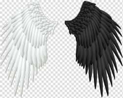 Angel Wing , Wings transparent background PNG clipart | PNGGuru