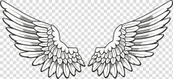 Download for free 10 PNG Wings clipart transparent ...