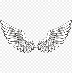 Download white wings clipart png photo | TOPpng