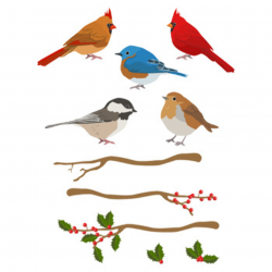 Winter Birds Clipart, Christmas Clipart, Winter Clipart, Holiday Clipart