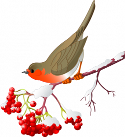 Pretty Bird and Winter Berries | WINTER Clip Art ! | Bird wings ...