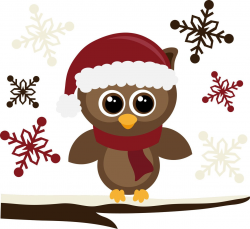 Santa hat | Owls! | Christmas owls, Owl wallpaper, Owl