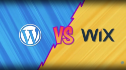 Create A Pro Website