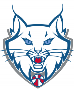 Minnesota Lynx Alternate Logo - Women\'s National Basketball ...