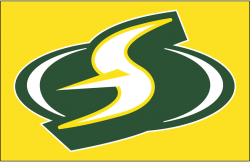 Seattle Storm Alt on Dark Logo - Women\'s National Basketball ...