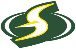 Seattle Storm Alternate Logo - Women\'s National Basketball ...