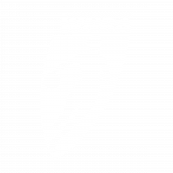 WNBA Logo PNG Transparent & SVG Vector - Freebie Supply