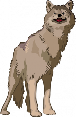 Wolf anime clipart - Clip Art Library