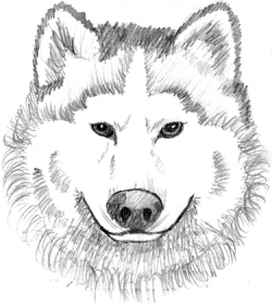 Free Wolves Clipart. Free Clipart Images, Graphics, Animated Gifs ...