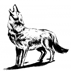 Free Free Wolf Clipart, Download Free Clip Art, Free Clip Art on ...