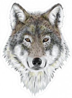 Realistic Wolf Sticker