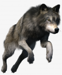Howling Wolf Clipart Free - Wolf - Free Transparent PNG Download ...