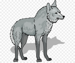 Gray Wolf Line Art png download - 662*750 - Free Transparent Gray ...
