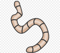 worm clipart Worm Clip art clipart - Worm, transparent clip art
