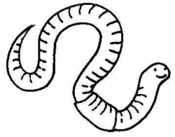 worm-clip-art-white-worm | Clip art, Worm clipart, Worms