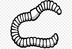 White Circle clipart - Worm, White, Text, transparent clip art