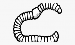 Worms Clipart Earthworm - Worms Clipart Black And White ...