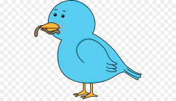 Eating Cartoon clipart - Bird, Worm, Eating, transparent ...