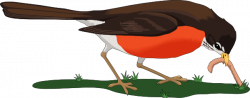 Bird Eating Worm Clip Art at Clker.com - vector clip art ...