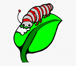 Worms Clipart Eating Plant ~ Frames ~ Illustrations ...