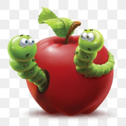 Worm Clipart Images, 18 PNG Format Clip Art For Free ...
