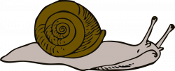 Worm clipart realistic, Worm realistic Transparent FREE for ...