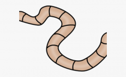 Download for free 10 PNG Worm clipart caterpillar top images ...