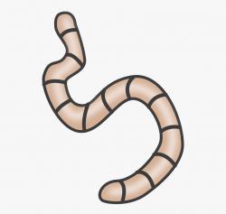 Worm clipart soil clipart, Worm soil Transparent FREE for ...