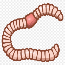 Worms Clipart transparent background 3 - 840 X 843 Free Clip ...