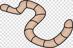 Worms transparent background PNG clipart | PNGGuru
