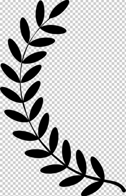Olive Branch Laurel Wreath PNG, Clipart, Bay Laurel, Black ...