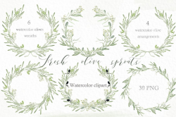 Olive sprouts wreaths branch clipart ~ Illustrations ...