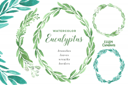 Watercolor Eucalyptus Clipart, Eucalyptus Branches Wreaths Borders and  Frames
