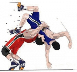 Color clipart wrestling, Color wrestling Transparent FREE ...