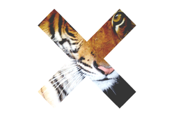 gif love Cool music hipster omg stars animal x lion tiger ...