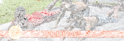 Best Summer Ever at YMCA Day Camps. – Helpers, Inc.