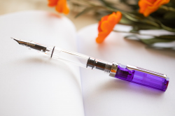 TWSBI ECO Fountain Pen - Transparent Purple (Special Edition ...