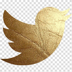 Logo YouTube Red Computer Icons, gold microphone transparent ...