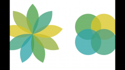 Creating a Transparent Logo Design in Illustrator